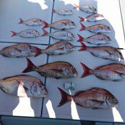 フィッシングボートACE(エース) 釣果