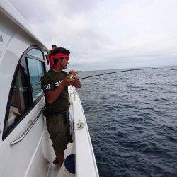 フィッシングボートACE（エース） 釣果