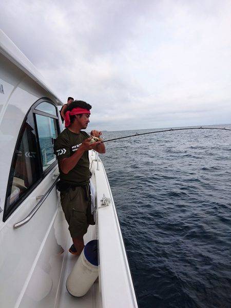 フィッシングボートACE（エース） 釣果