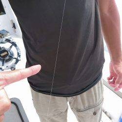 フィッシングボートACE（エース） 釣果