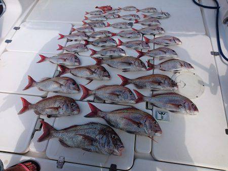 フィッシングボートACE（エース） 釣果