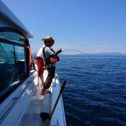 フィッシングボートACE(エース) 釣果