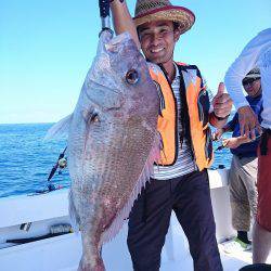 フィッシングボートACE(エース) 釣果