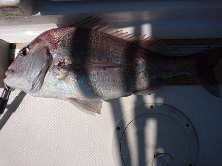 フィッシングボートACE(エース) 釣果