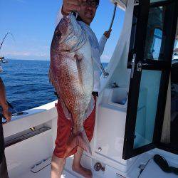 フィッシングボートACE(エース) 釣果