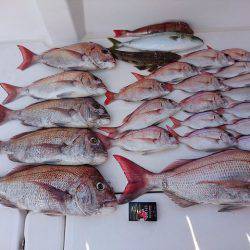 フィッシングボートACE(エース) 釣果