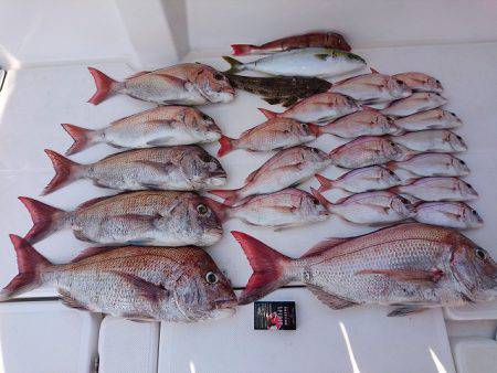 フィッシングボートACE（エース） 釣果