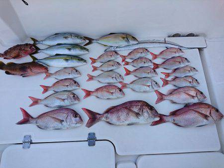 フィッシングボートACE（エース） 釣果