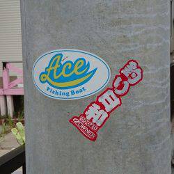 フィッシングボートACE(エース) 釣果