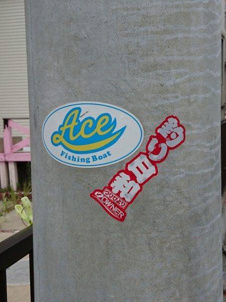 フィッシングボートACE(エース) 釣果