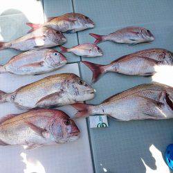 フィッシングボートACE（エース） 釣果