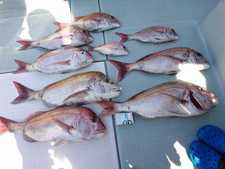 フィッシングボートACE（エース） 釣果