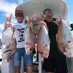 フィッシングボートACE（エース） 釣果