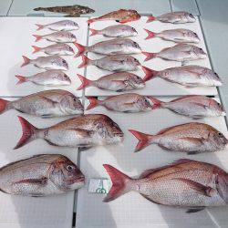 フィッシングボートACE(エース) 釣果