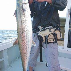 フィッシングボートACE(エース) 釣果