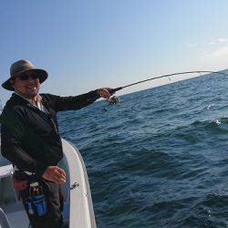 フィッシングボートACE(エース) 釣果