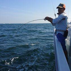 フィッシングボートACE(エース) 釣果