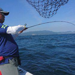 フィッシングボートACE(エース) 釣果