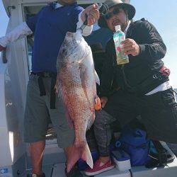 フィッシングボートACE(エース) 釣果