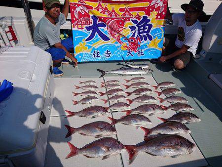 フィッシングボートACE(エース) 釣果