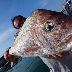 フィッシングボートACE(エース) 釣果