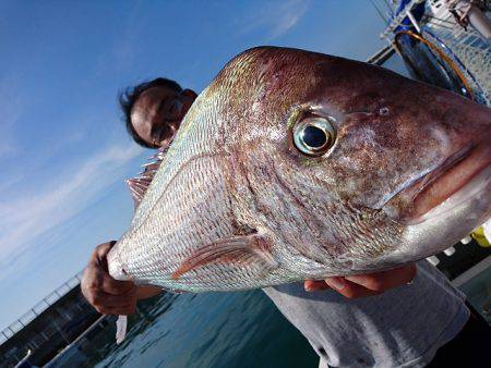 フィッシングボートACE(エース) 釣果