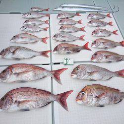 フィッシングボートACE(エース) 釣果