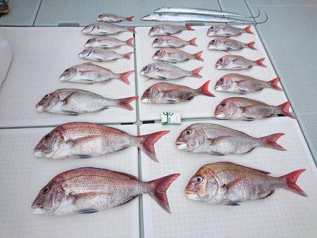 フィッシングボートACE（エース） 釣果