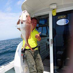 フィッシングボートACE(エース) 釣果