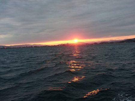 フィッシングボートACE(エース) 釣果