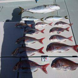 フィッシングボートACE(エース) 釣果