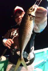 愛海丸 釣果
