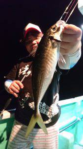 愛海丸 釣果
