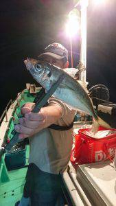 愛海丸 釣果