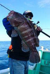 愛海丸 釣果