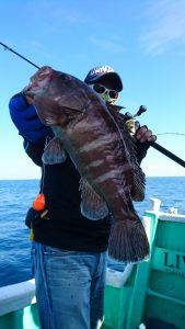 愛海丸 釣果