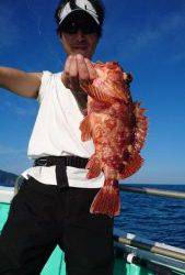 愛海丸 釣果