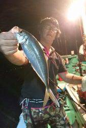 愛海丸 釣果