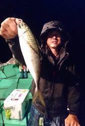 愛海丸 釣果