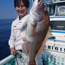 シードリーム 釣果