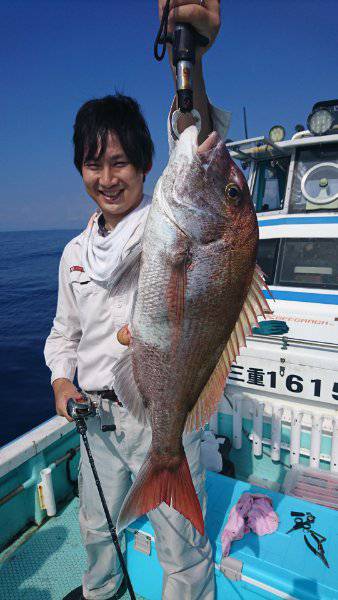 シードリーム 釣果