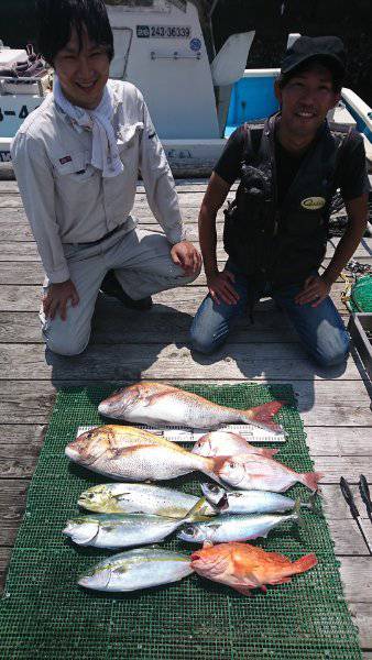 シードリーム 釣果