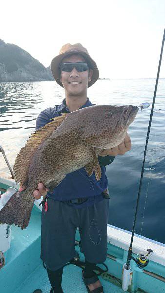 シードリーム 釣果