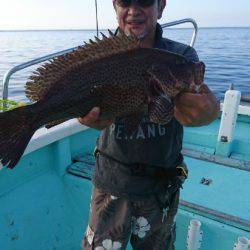 シードリーム 釣果