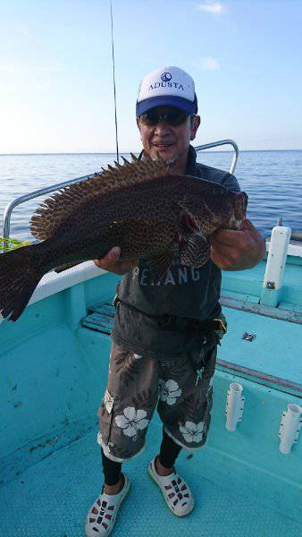 シードリーム 釣果