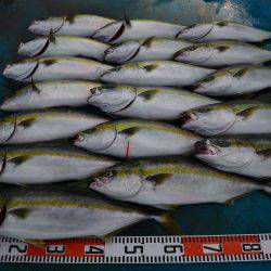 アジアマリンサービス 釣果