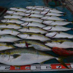 アジアマリンサービス 釣果