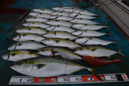 アジアマリンサービス 釣果