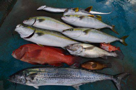 アジアマリンサービス 釣果