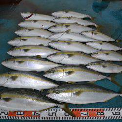 アジアマリンサービス 釣果